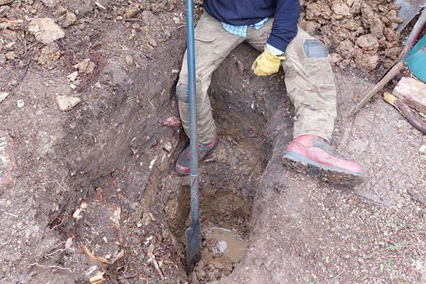 Drain Repairs and Root cutting in Bookham Surrey