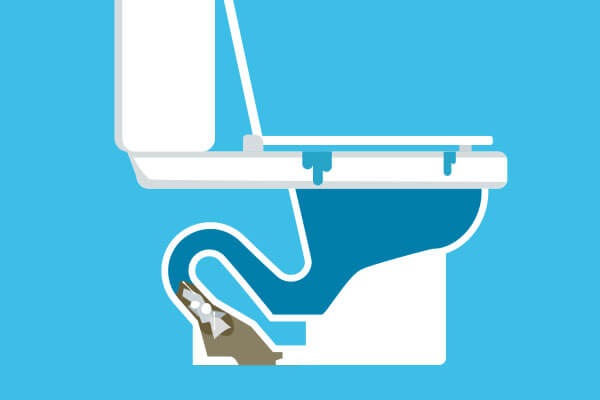 Blocked Toilet Expert in Leatherhead Surrey